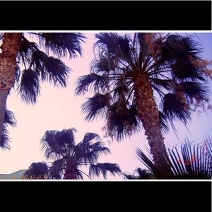 Meet your Posher, Page